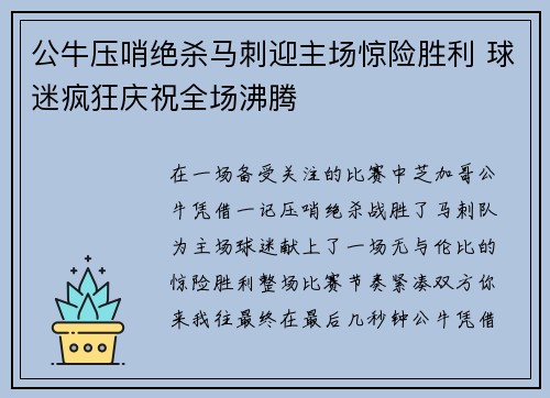 公牛压哨绝杀马刺迎主场惊险胜利 球迷疯狂庆祝全场沸腾