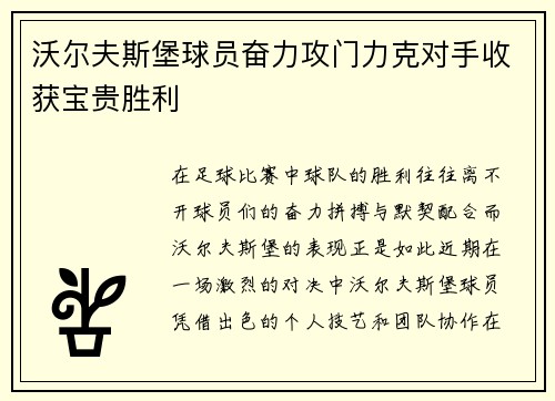 沃尔夫斯堡球员奋力攻门力克对手收获宝贵胜利